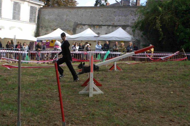 foire-haricots 2011-09-17et18